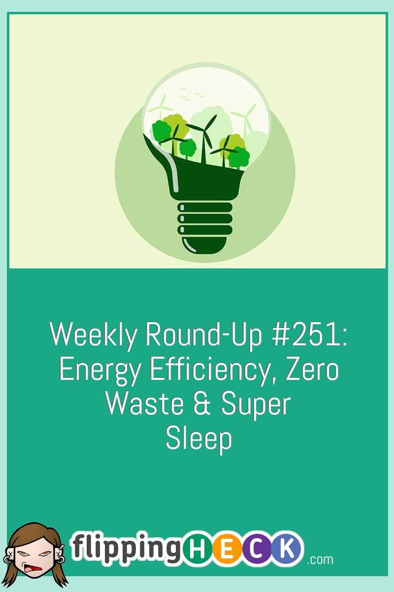 Weekly Round-Up #251: Energy Efficiency, Zero Waste & Super Sleep