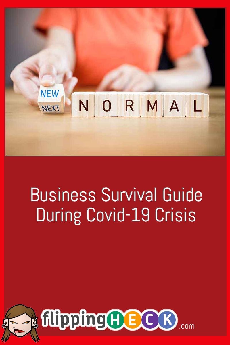 Business Survival Guide During Covid-19 Crisis