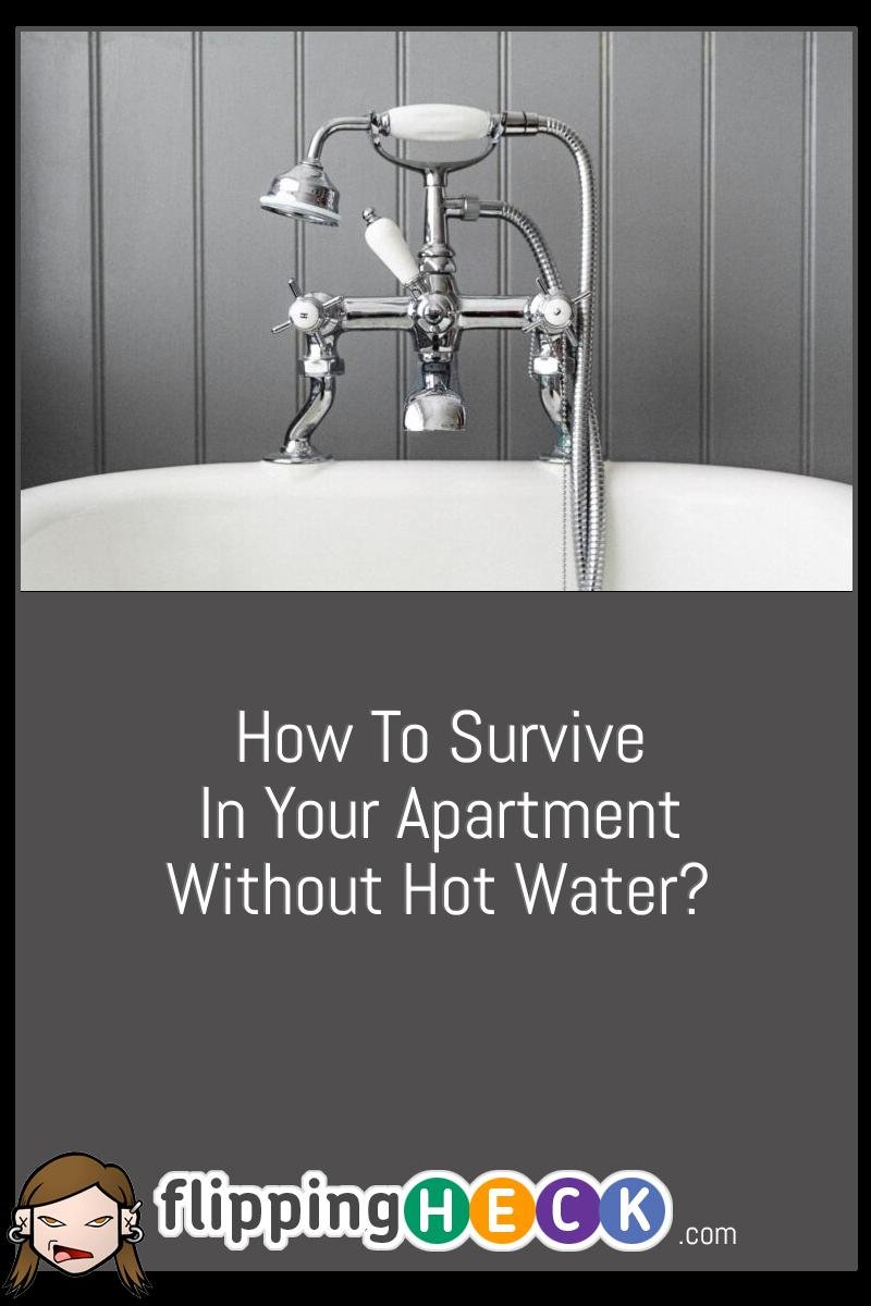 How To Survive In Your Apartment Without Hot Water?