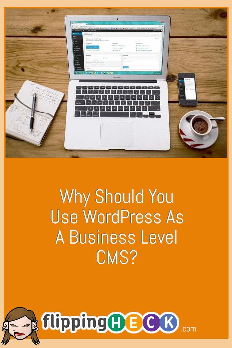 Why Should You Use WordPress As A Business Level CMS?