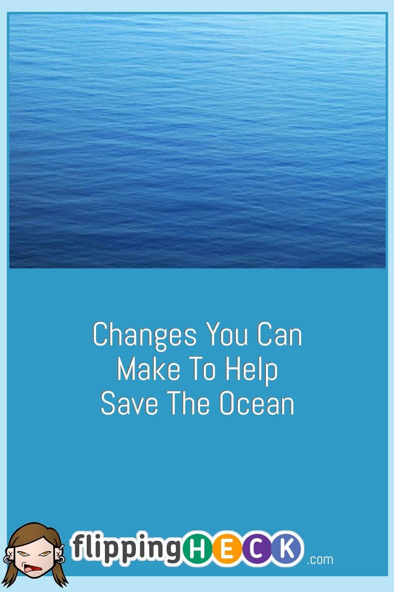 Changes You Can Make To Help Save The Ocean