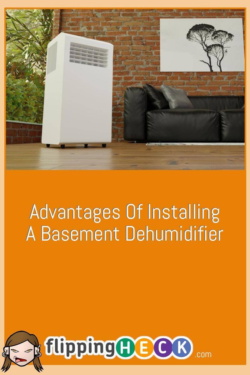 Advantages Of Installing A Basement Dehumidifier