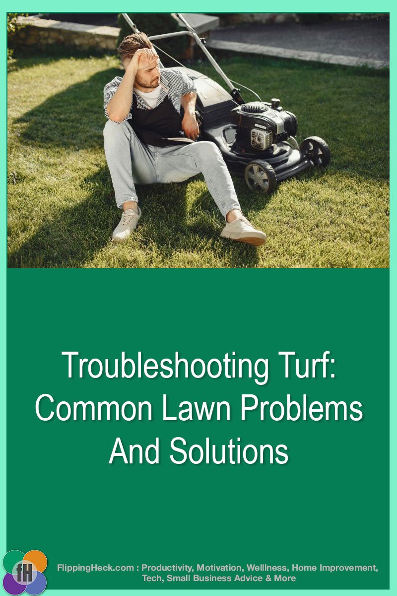 Troubleshooting Turf: Common Lawn Problems And Solutions