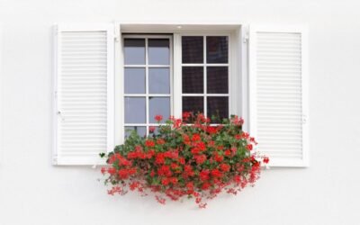 The Resilient Charm: Uncovering The Benefits Of PVC Plantation Shutters For Your Home